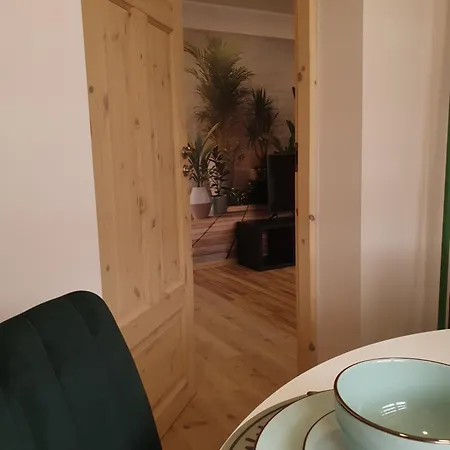 Cesu Majas Raina Iela Apartment Cesis Exterior photo