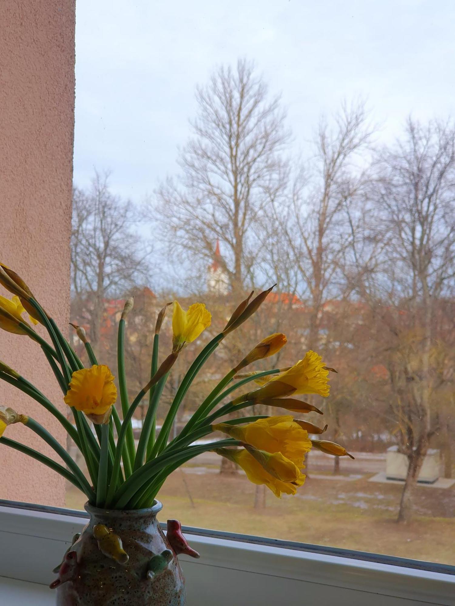 Apartment Cesu Majas Raina Iela Cesis