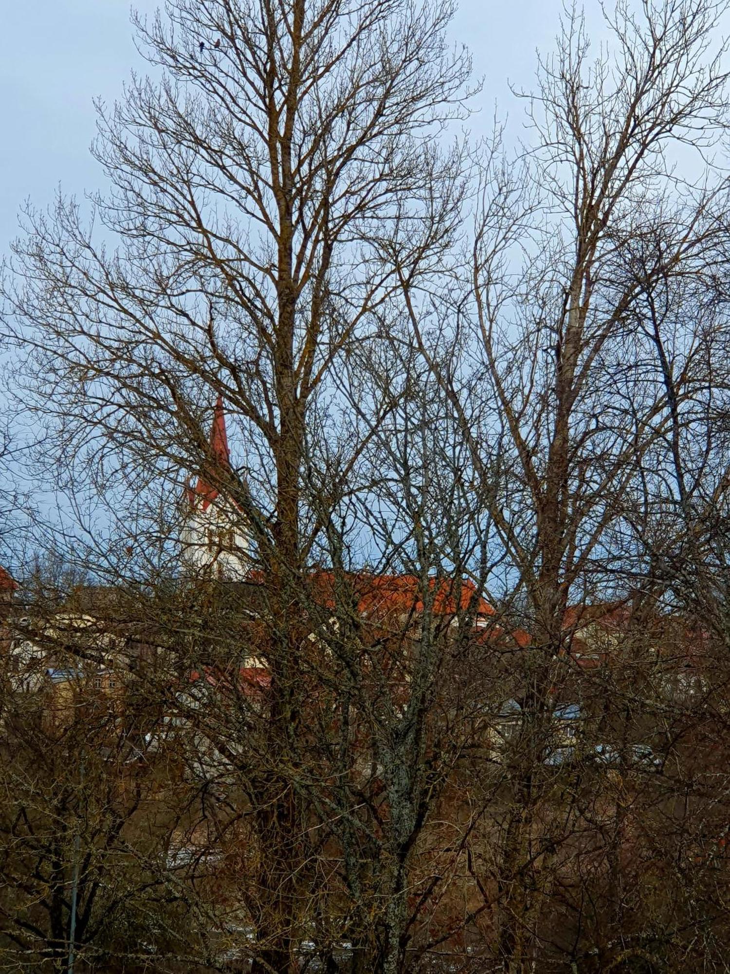 Cesu Majas Raina Iela Apartment *